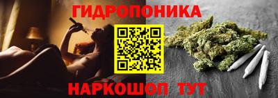 стаф Севастополь