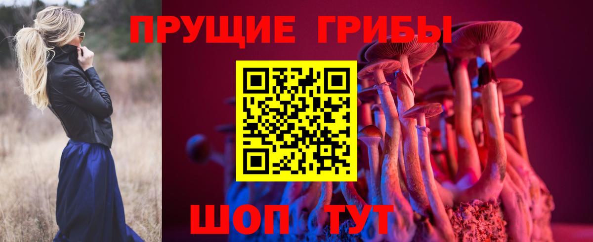 Галлюциногенные грибы прущие грибы  Вход с VPN  Ртищево 